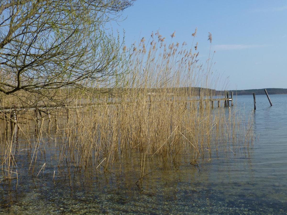 Altes Fischerhaus Plau am See Exterior photo
